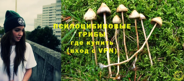 прущая мука Арсеньев