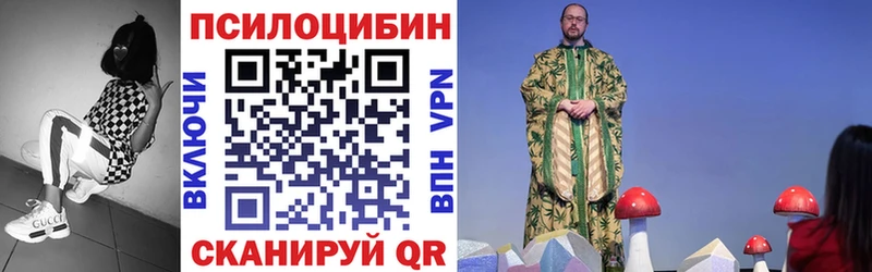где продают   Обоянь  Галлюциногенные грибы Psilocybe 