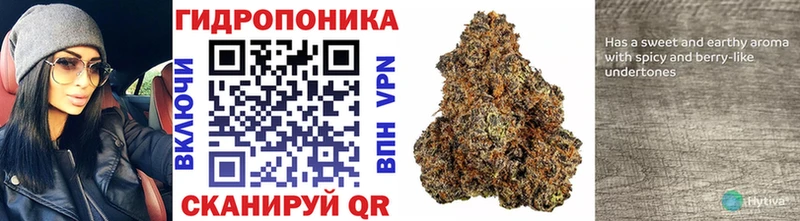 МАРИХУАНА OG Kush Обоянь